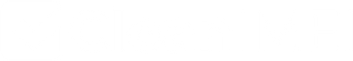 Cleanimei.com CleanIMEI Logo